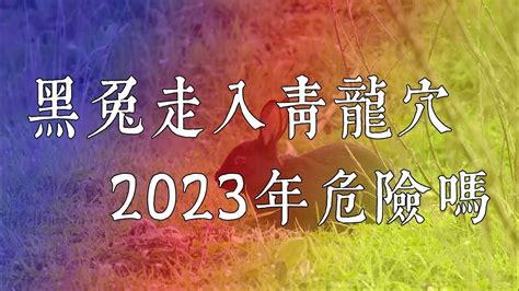 黑兔走入青龍|民间流传今明两年是：“黑兔走入青龙穴”，此话有什么预示？